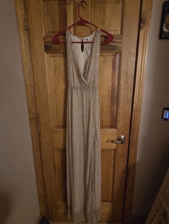 Baltic Born Dresses & Skirts - Baltic Born NWT Helen Sparkle Tank Gown- Champagne